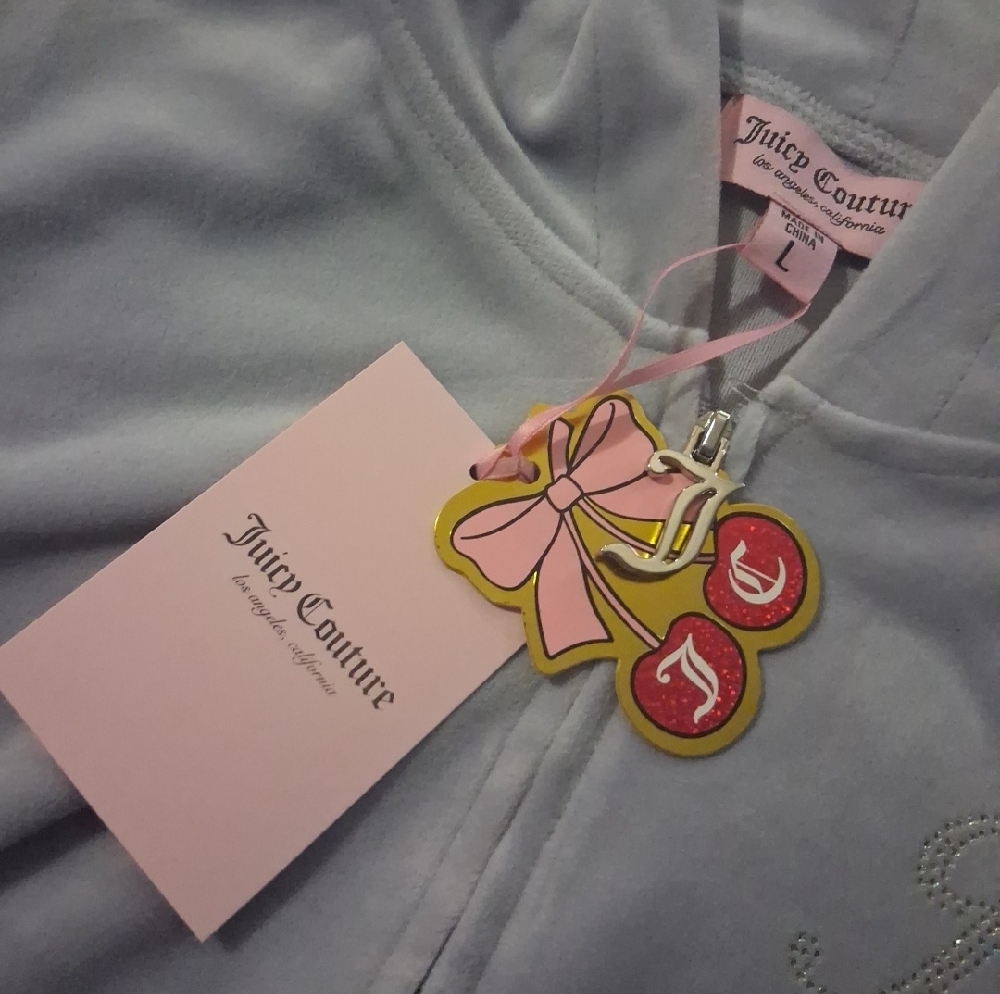 NWT Juicy Couture Lavender Haze Velour Hoodie And Sweatpants Set - Picture 2 of 15